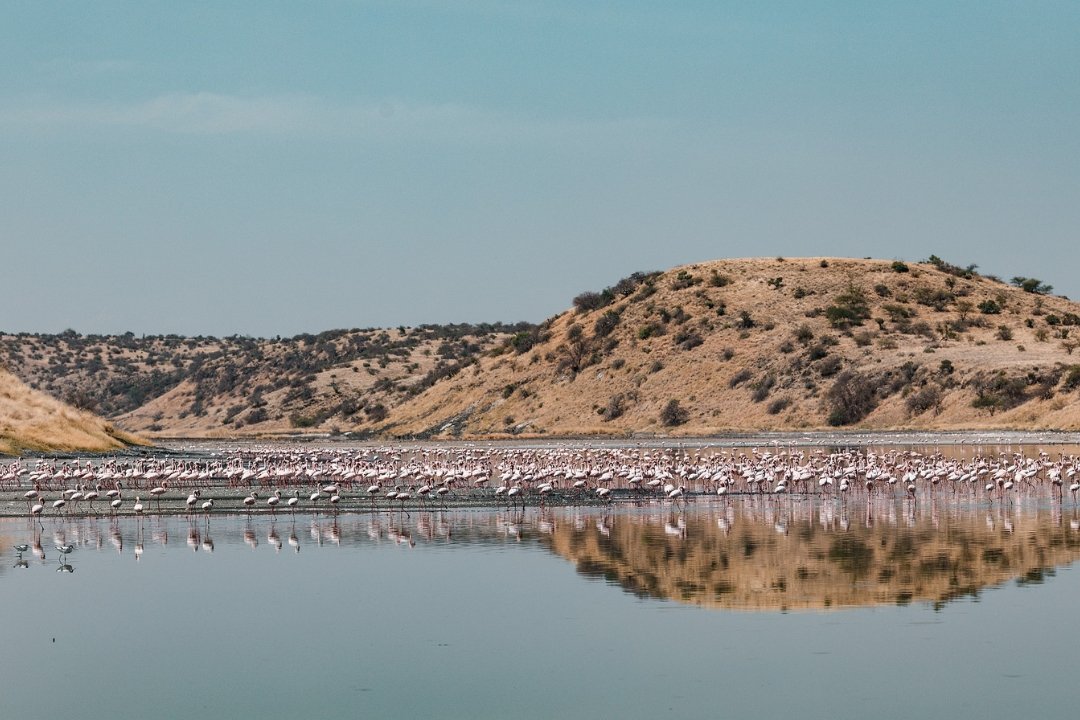 Lake Magadi Ngorongoro