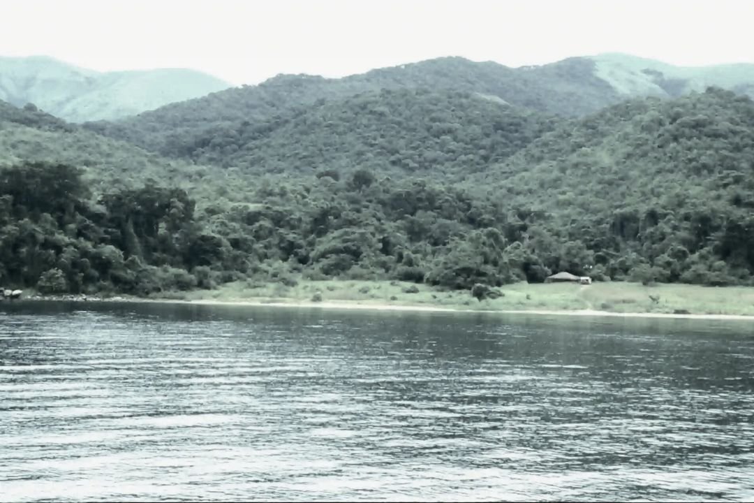 Lake Tanganyika Shoreline (3)