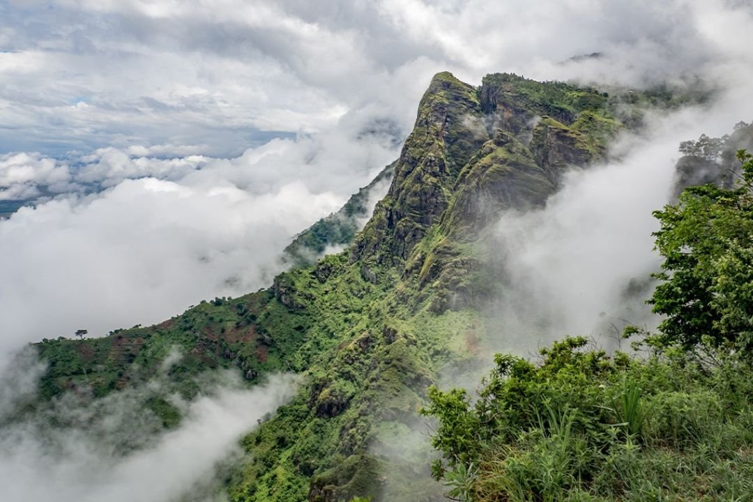Scenic Mountain Backdrops