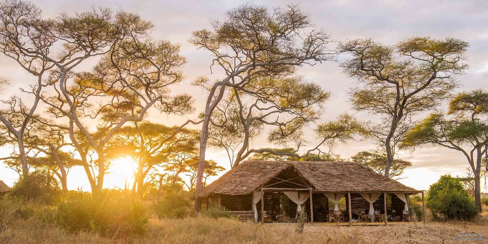 Tarangire Safari Lodge 1
