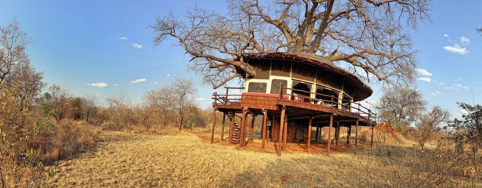 Tarangire Treetops 2